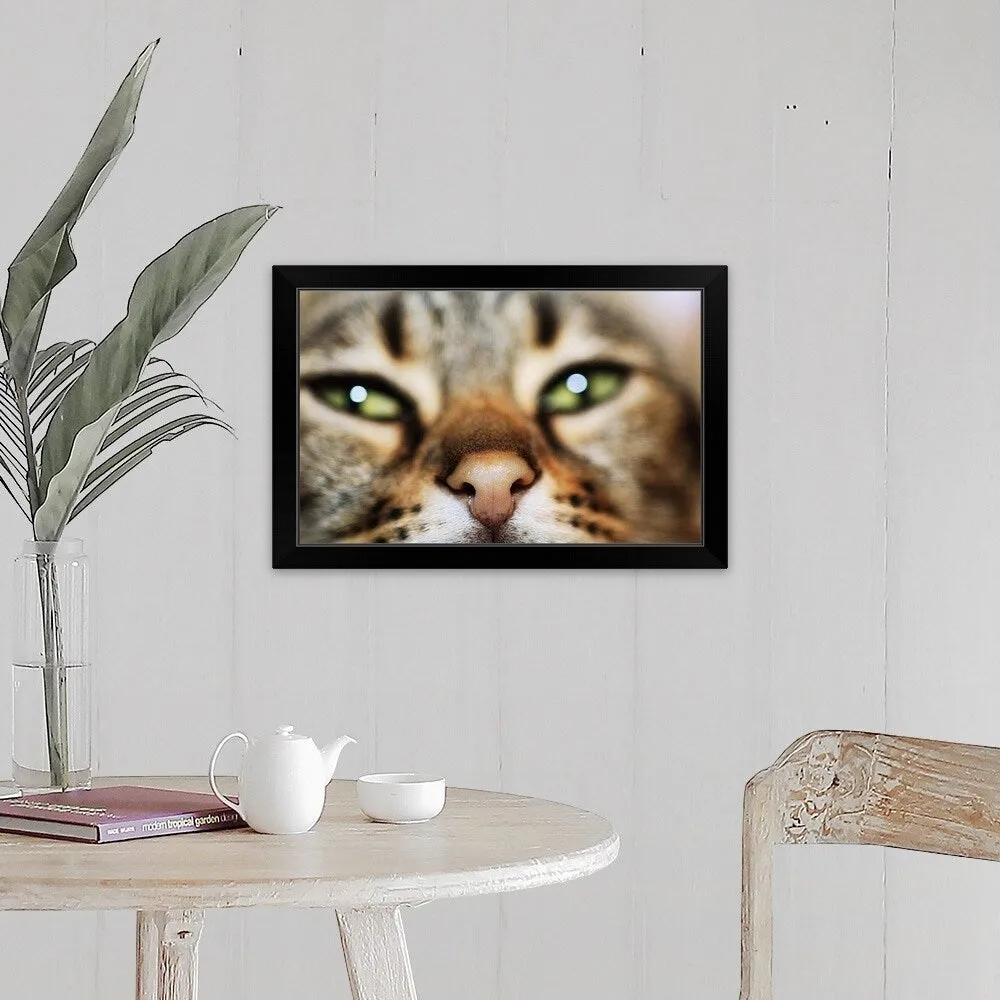 "A Cat's Face" Black Framed Print