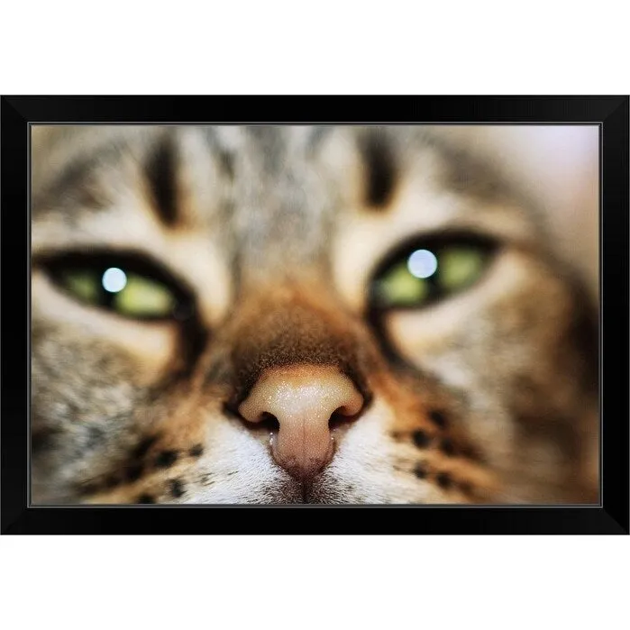 "A Cat's Face" Black Framed Print