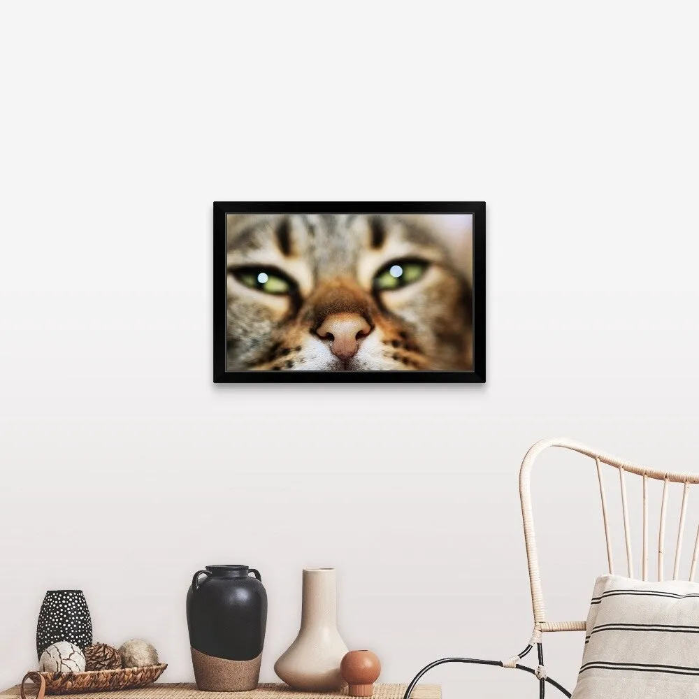 "A Cat's Face" Black Framed Print