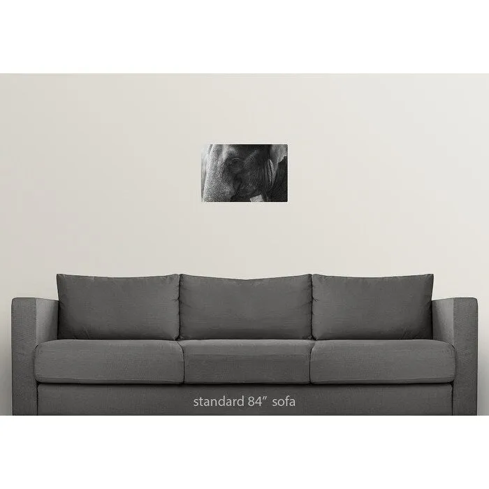 "Black and White Elephant portrait" Poster Print - Multi