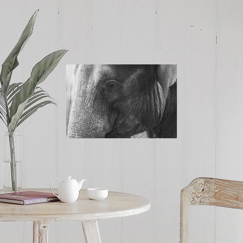 "Black and White Elephant portrait" Poster Print - Multi