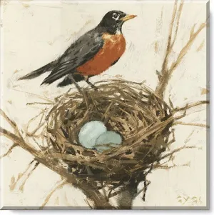 Robin On A Nest Canvas Art