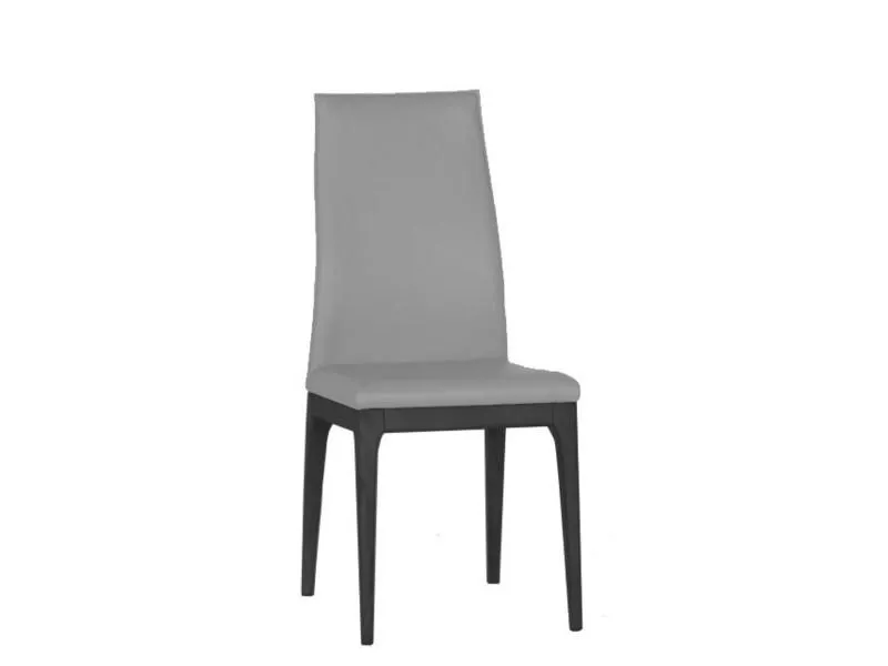 Tristen Modern Upholsterd Dining Chair